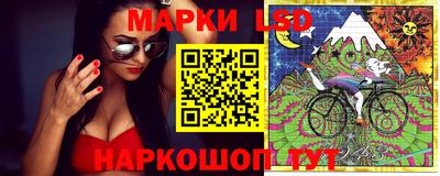 шишки Славгород