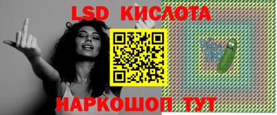 шишки Славгород