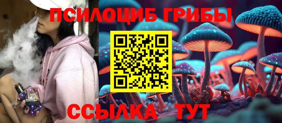 Псилоцибиновые грибы GOLDEN TEACHER Новый Уренгой