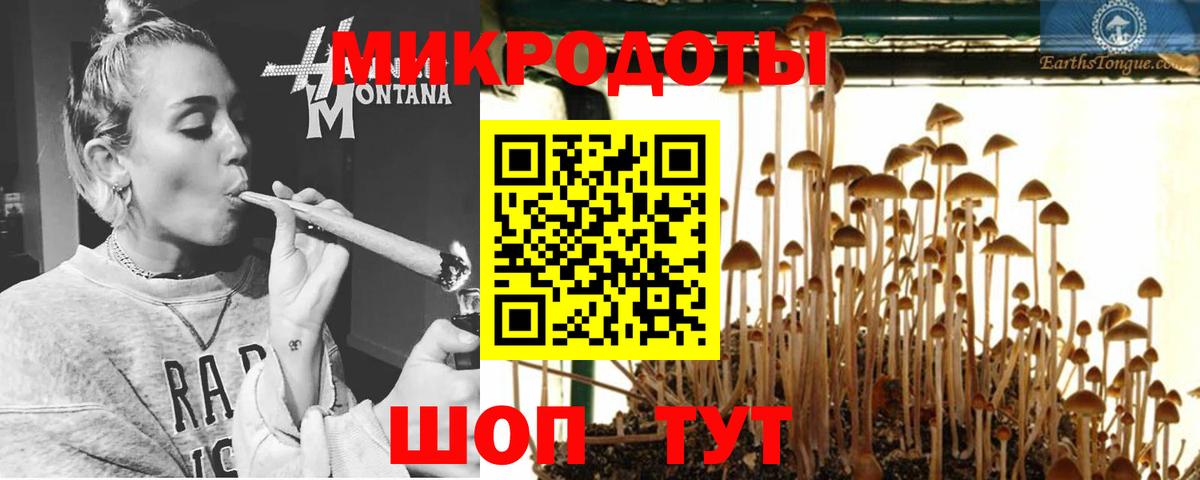 Псилоцибиновые грибы прущие грибы  Вход с VPN  Псилоцибиновые грибы ЛСД  Новый Уренгой 